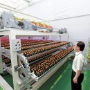 삼육대학교 이미지