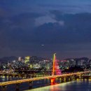 계절이 지나가는 하늘 | 지하철로 가는 가을 여행! 서울 하늘공원 억새축제 2025 가는 방법과 직접 다녀온 후기