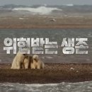 다큐세이브 이미지