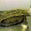 아쿠아피씨방 이미지