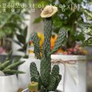 안양중앙지하도상가 이미지