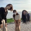 카페보리 이미지