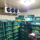 총각마트 이미지