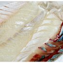 순천 거점산지유통센터 | 청호활어회센터 속초회센터 추천 제대로 인 주원수산 후기