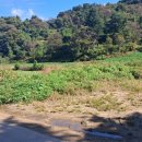 대지부동산중개인사무소 이미지