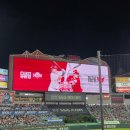 Angry Birds 2 | SSG 랜더스 이벤트 경기 섬곤전 직관 후기