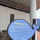 울산 남구 장생포 고래생태체험관 후기 : 국내 최초 돌고래 수족관 다녀왔어요!