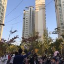 광성 경희대 태권도 이미지