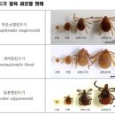 좋은 친구들 동물병원 이미지