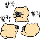 오라네일 이미지