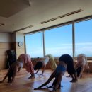 183 | [해운대요가] 오션뷰 창가에서 마주한 차분하게 정돈되는 라자요가명상센터 해운대점 수련 후기