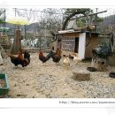 도수초등학교 이미지