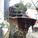 유성스테이 모텔 이미지