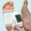 의료기나라 | 엘찰텐 피츠로이 등산 후기｜죽다 살아났다, 울면서 내려온 현실 트레킹