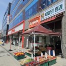 양지청과 이미지