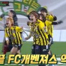 개벤져스 이미지