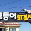 고등어회결사