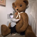 청호목욕탕 | 임신 32주차 기록 🧸 대관령·속초 당일치기 여행 &amp; 병원 정기 검진 후기 (+남편 첫 생일)