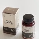 NMN 영양제 추천 파파뮨 NMN 엔엠엔 레스베라맥스 먹기 시작했어요!