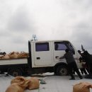 김녕초등학교 이미지