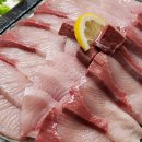 대풍마차 이미지