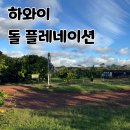 길농장 | 하와이 돌 플랜테이션 후기, 오아후 북부 가는 길 잠깐 들른 파인애플 농장과 돌 키티