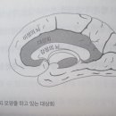 도대상회