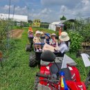 하천농장 | 아이랑 가기 좋은 서울근교 체험농장 5곳 (바베큐·예약·비용 한눈에)