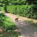 JUNE 16~30 + 7월 쪼끔