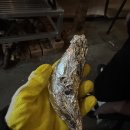 강촌1225 이미지