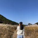 승주유통 이미지