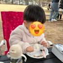 마법의 정원 - 의령군 | 아이랑 힐링 제대로🌿 창원 마법의정원 캠핑 후기 (삼겹살+놀이+여유까지 완벽!)