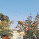 마니주민박 이미지