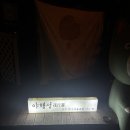 야행성 | [김포] 대형 고양이카페 김포 야행성 방문 후기