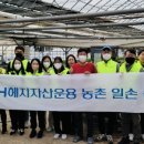 운용농장 이미지