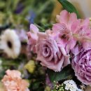 노원행복한약국 이미지