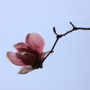 물빛펜션 이미지