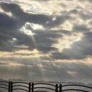 국립신시도자연휴양림 | [군산여행] 1일차 지린성>남부시장통닭>데이글릿>국립신시도자연휴양림