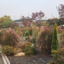 하늘공원(하부) 이미지