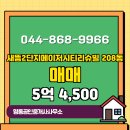 2단지시티공인중개사사무소 | 새롬동 아파트 새뜸2단지메이저시티리슈빌 명동공인중개사사무소 매물