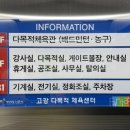 고강다목적체육관 체육관 이미지