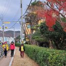 꽃내음풀내음해돋이유치원 이미지