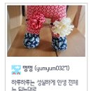 멍멍아 까꿍 이미지