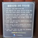 (주)민탑 은가옥 | 창경궁 명전전 내부 특별관람 (명정전 개방) 후기 - 궁궐투어