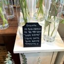 동래 꽃집 온실 flower studio | 가성비 좋은 꽃과 화분, 수경식물까지 있는 꽃집. (꽃배달 가능)