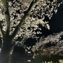 김호섭선산할매곱창교동점 이미지