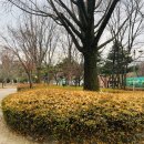 담방문화근린공원 네이버블로그