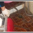 서부초등학교정문 이미지