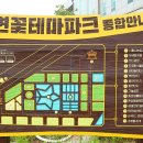 시흥시생명농업기술센터 | 시흥연꽃테마파크, 관곡지 연꽃개화현황, 25년7월3일 실시간 기준,연꽃개화시기, 관곡지 주차