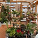 완도읍-13 | 완도 아기랑 가볼만한 곳, ‘아내의 정원’ 찐 후기! 포니 농장 체험 (ft. 예쁜 정원 카페, 크리스마스...